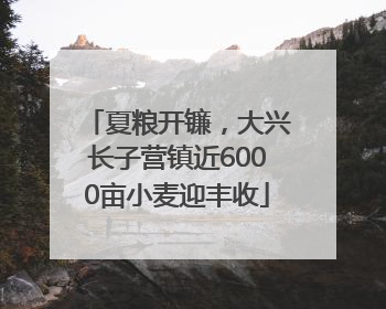 夏粮开镰，大兴长子营镇近6000亩小麦迎丰收