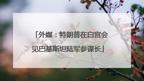 外媒：特朗普在白宫会见巴基斯坦陆军参谋长