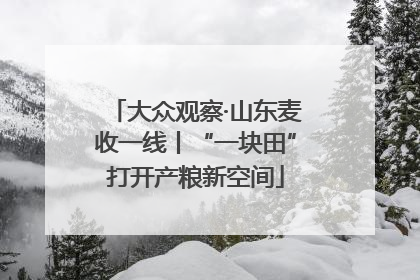 大众观察·山东麦收一线丨“一块田”打开产粮新空间