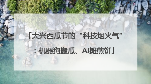 大兴西瓜节的“科技烟火气”：机器狗搬瓜、AI摊煎饼