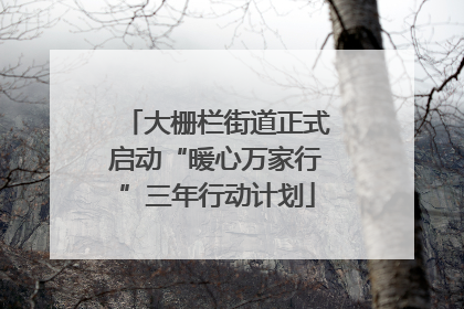 大栅栏街道正式启动“暖心万家行”三年行动计划