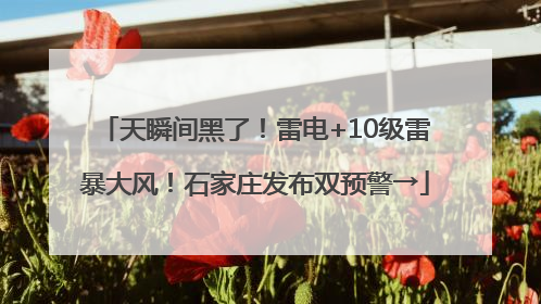 天瞬间黑了！雷电+10级雷暴大风！石家庄发布双预警→