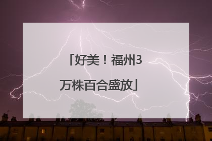 好美！福州3万株百合盛放