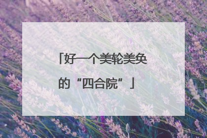 好一个美轮美奂的“四合院”