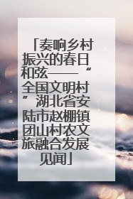 奏响乡村振兴的春日和弦——“全国文明村”湖北省安陆市赵棚镇团山村农文旅融合发展见闻