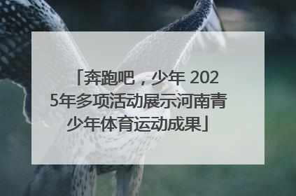 奔跑吧，少年 2025年多项活动展示河南青少年体育运动成果