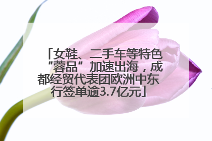 女鞋、二手车等特色“蓉品”加速出海，成都经贸代表团欧洲中东行签单逾3.7亿元