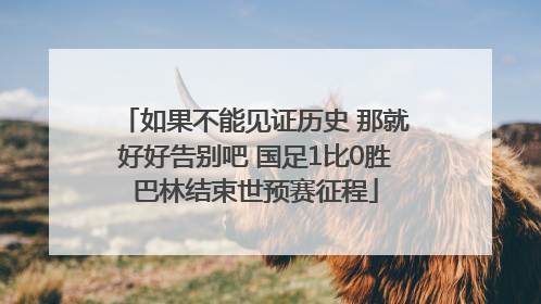 如果不能见证历史 那就好好告别吧 国足1比0胜巴林结束世预赛征程