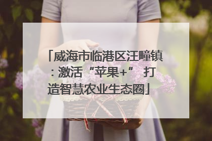 威海市临港区汪疃镇：激活“苹果+” 打造智慧农业生态圈