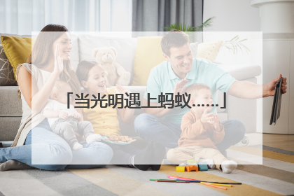 当光明遇上蚂蚁……