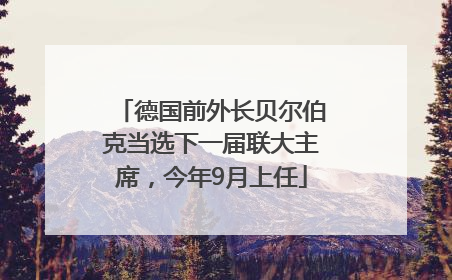 德国前外长贝尔伯克当选下一届联大主席，今年9月上任