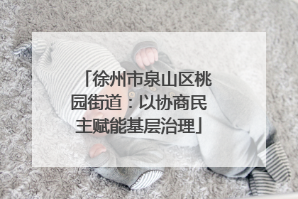 徐州市泉山区桃园街道：以协商民主赋能基层治理