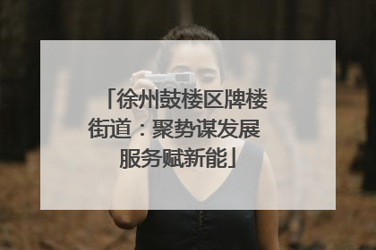 徐州鼓楼区牌楼街道：聚势谋发展 服务赋新能