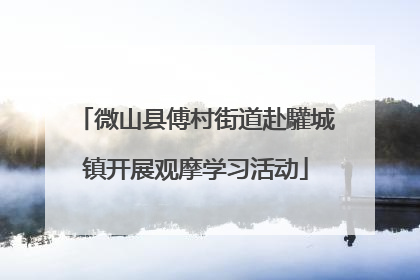 微山县傅村街道赴驩城镇开展观摩学习活动