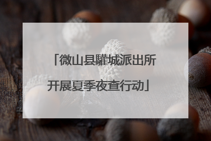 微山县驩城派出所开展夏季夜查行动