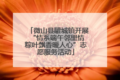 微山县驩城镇开展“情系端午邻里情 粽叶飘香暖人心”志愿服务活动
