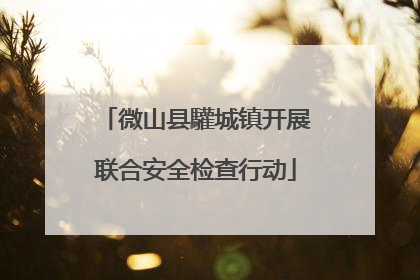 微山县驩城镇开展联合安全检查行动
