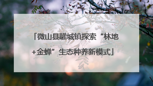 微山县驩城镇探索“林地+金蝉”生态种养新模式
