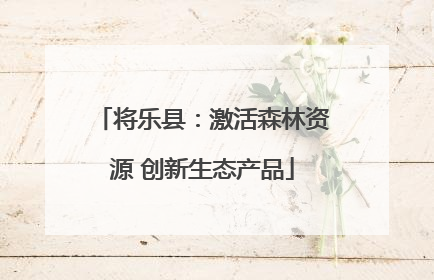 将乐县：激活森林资源 创新生态产品