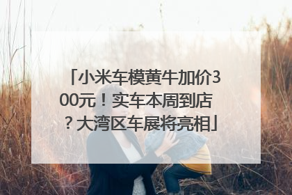 小米车模黄牛加价300元！实车本周到店？大湾区车展将亮相