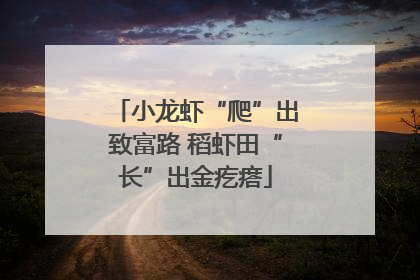 小龙虾“爬”出致富路 稻虾田“长”出金疙瘩