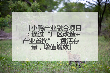 小鸭产业融合项目：通过“厂区改造+产业置换”，盘活存量，增值增效