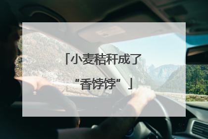 小麦秸秆成了“香饽饽”