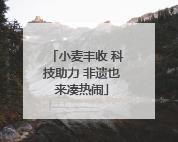 小麦丰收 科技助力 非遗也来凑热闹
