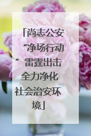 尚志公安“净场行动”雷霆出击 全力净化社会治安环境