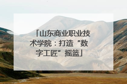 山东商业职业技术学院：打造“数字工匠”摇篮