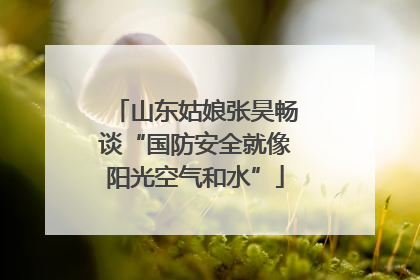 山东姑娘张昊畅谈“国防安全就像阳光空气和水”