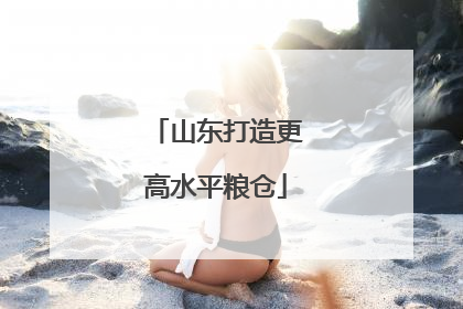 山东打造更高水平粮仓