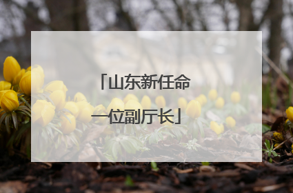 山东新任命一位副厅长