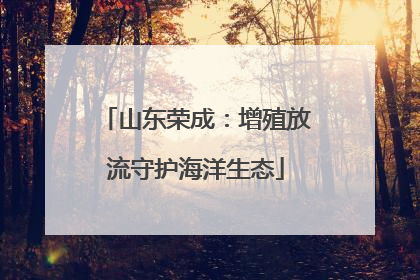 山东荣成：增殖放流守护海洋生态