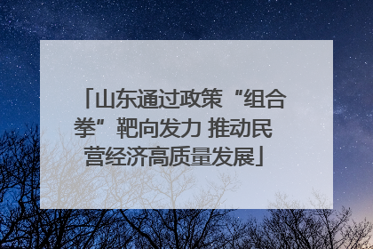 山东通过政策“组合拳”靶向发力 推动民营经济高质量发展