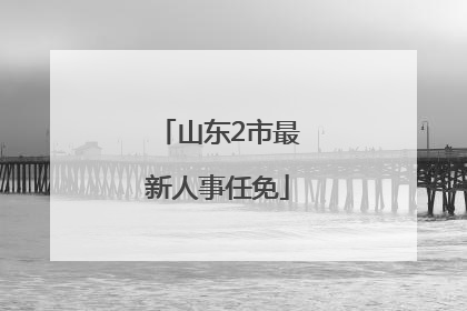 山东2市最新人事任免