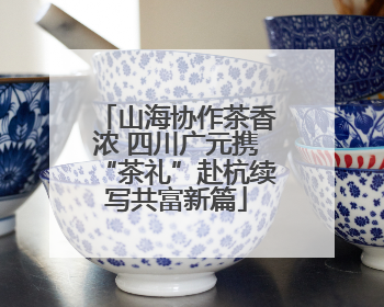 山海协作茶香浓 四川广元携“茶礼”赴杭续写共富新篇