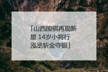 山西围棋再现新星 14岁小将行泓丞斩金夺银