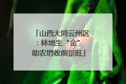 山西大同云州区：林地生“金” 助农增收前景旺