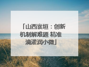 山西襄垣：创新机制解难题 精准滴灌润小微