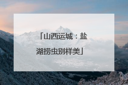 山西运城：盐湖捞虫别样美