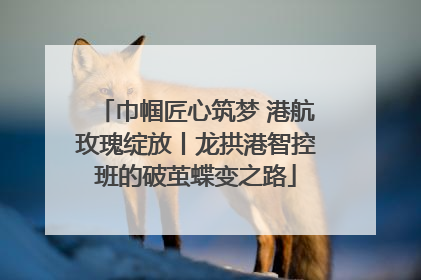 巾帼匠心筑梦 港航玫瑰绽放丨龙拱港智控班的破茧蝶变之路
