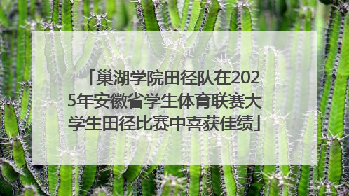 巢湖学院田径队在2025年安徽省学生体育联赛大学生田径比赛中喜获佳绩