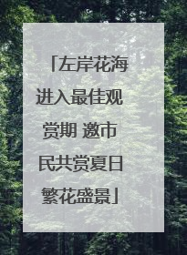 左岸花海进入最佳观赏期 邀市民共赏夏日繁花盛景