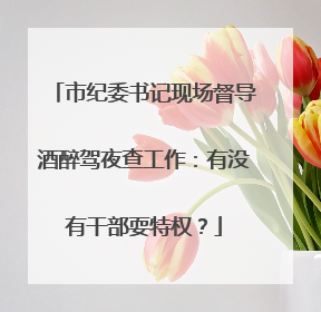 市纪委书记现场督导酒醉驾夜查工作：有没有干部耍特权？