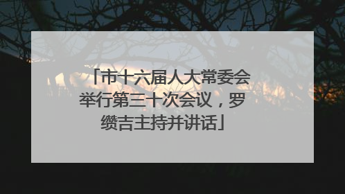 市十六届人大常委会举行第三十次会议，罗缵吉主持并讲话