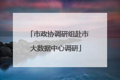 市政协调研组赴市大数据中心调研