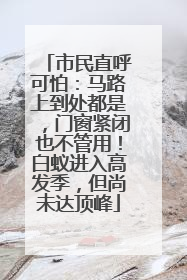 市民直呼可怕：马路上到处都是，门窗紧闭也不管用！白蚁进入高发季，但尚未达顶峰