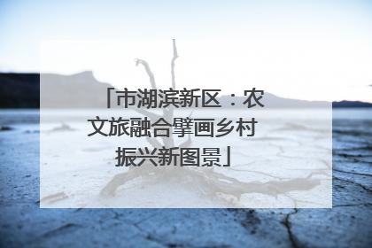 市湖滨新区：农文旅融合擘画乡村振兴新图景