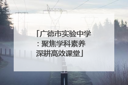 广德市实验中学：聚焦学科素养 深耕高效课堂